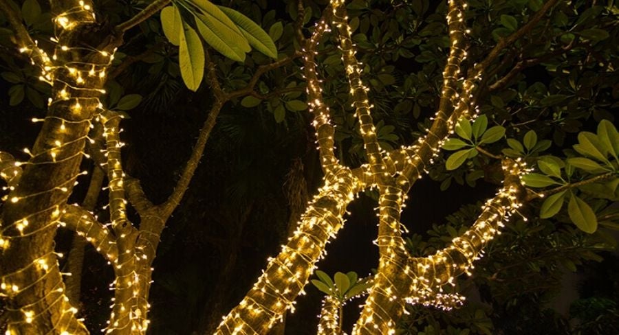 Luces de navidad enrolladas en árboles del jardín