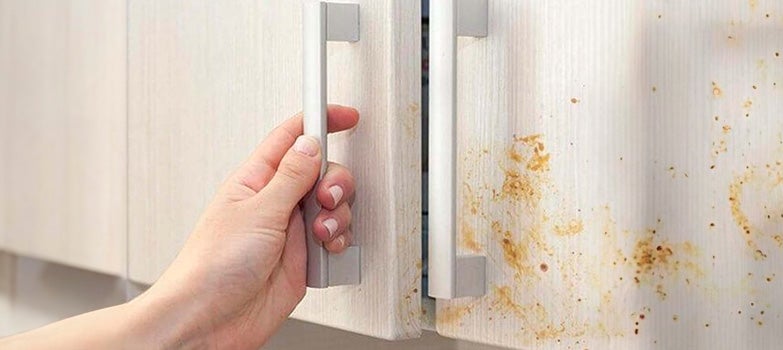 Sigue estos cuatro tips para mantener limpios los trapos de cocina, quitarles la grasa y hacer que huelan delicioso usando productos especializados e ingredientes caseros 