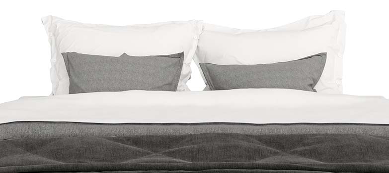 Eliminar chinches de la cama mx