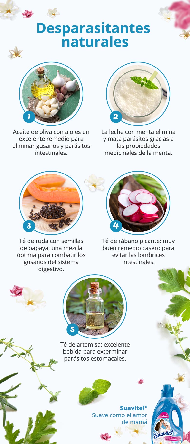 infografia desparasitantes naturales