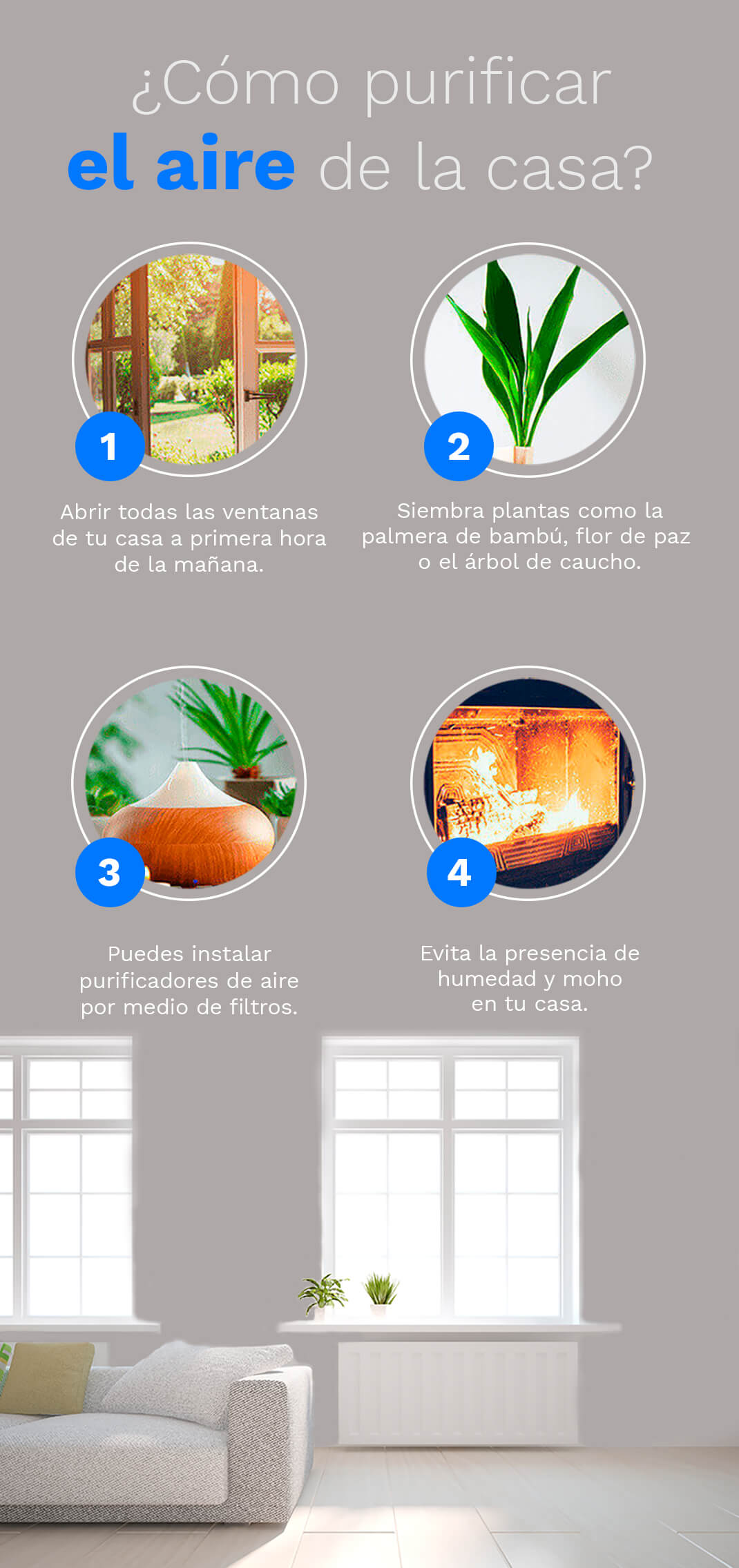 Infografía cómo purificar el aire de la casa