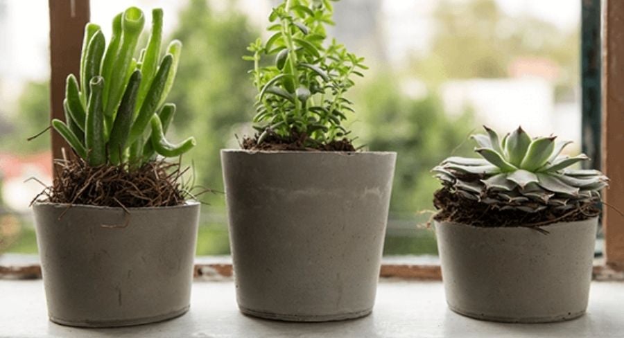 macetas-de-cemento-9.jpg Maceta de cemento