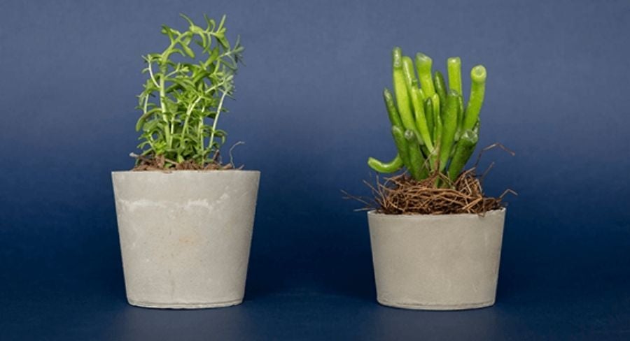 macetas-de-cemento-8.jpg Maceta de cemento