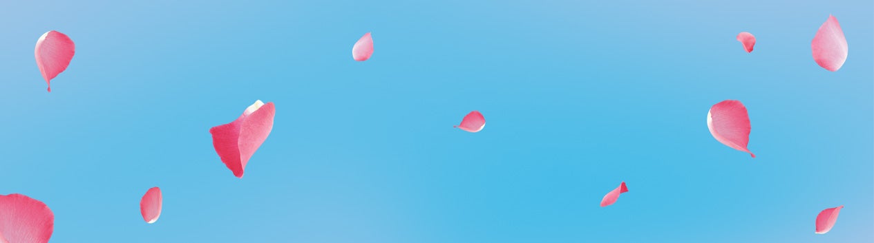 Vel | Presentaciones