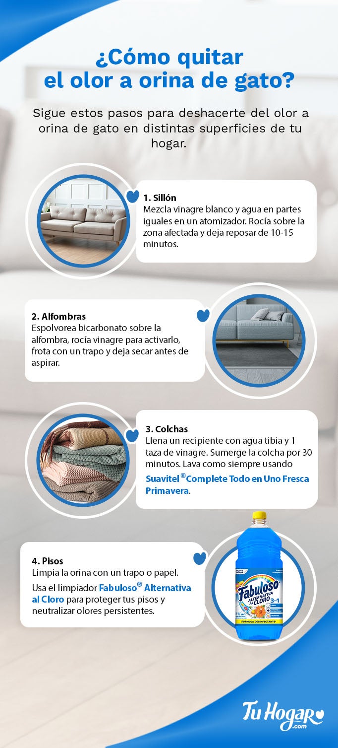 infografía: ¿Cómo quitar el olor a orina de gato?
