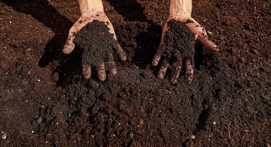 manos en la tierra